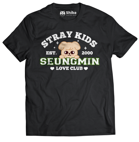 Playera Stray Kids Seungmin
